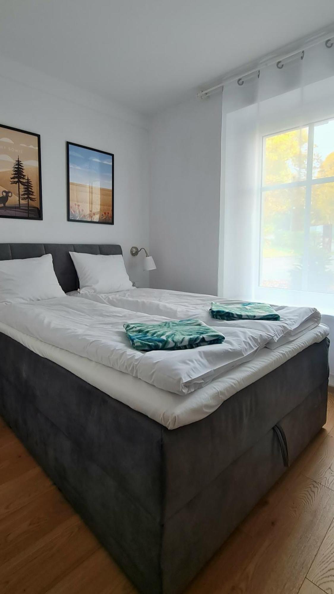 Apartamenty Debowa 3 Поляница-Здруй Экстерьер фото