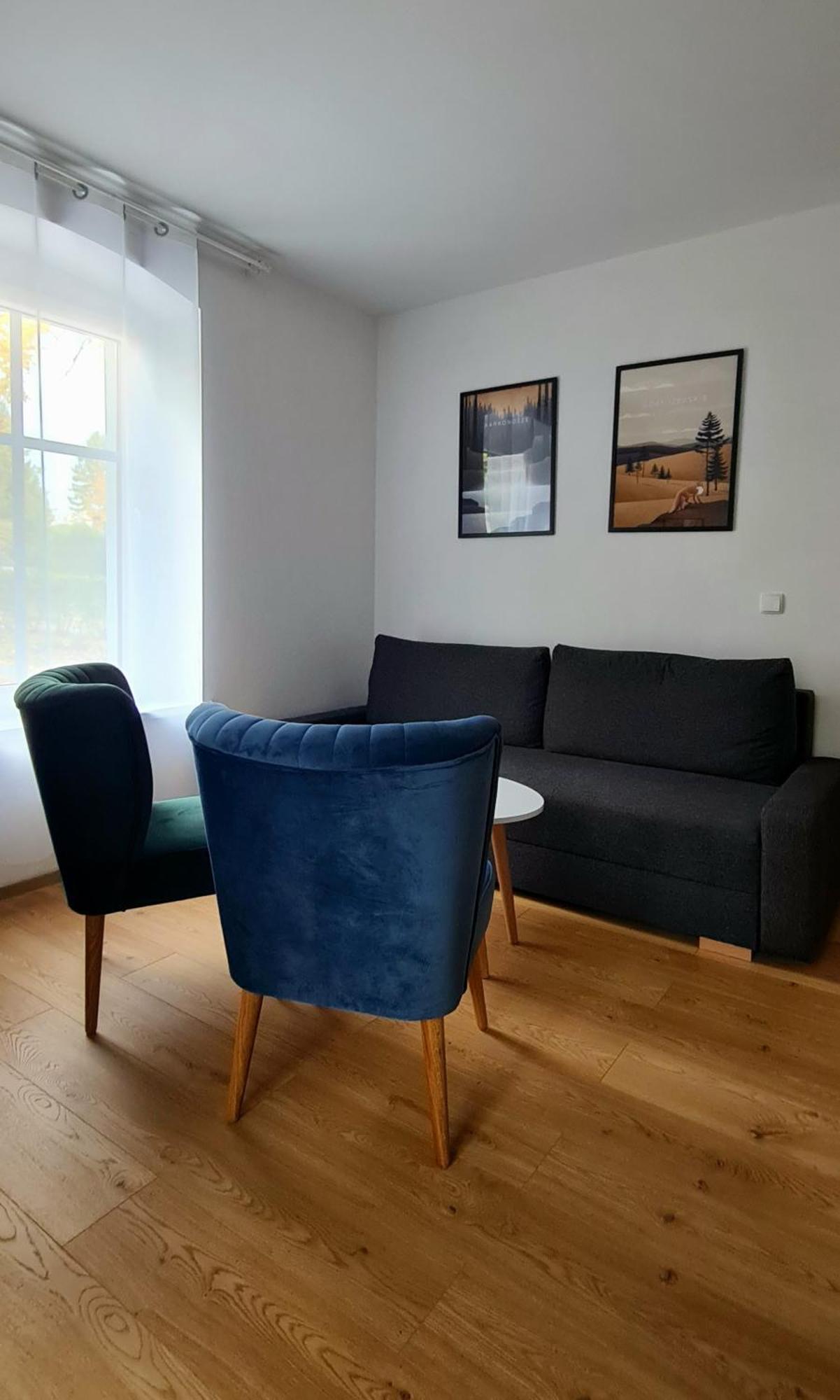 Apartamenty Debowa 3 Поляница-Здруй Экстерьер фото